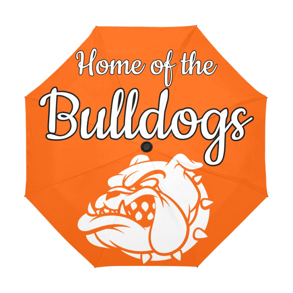 Bulls Gap School